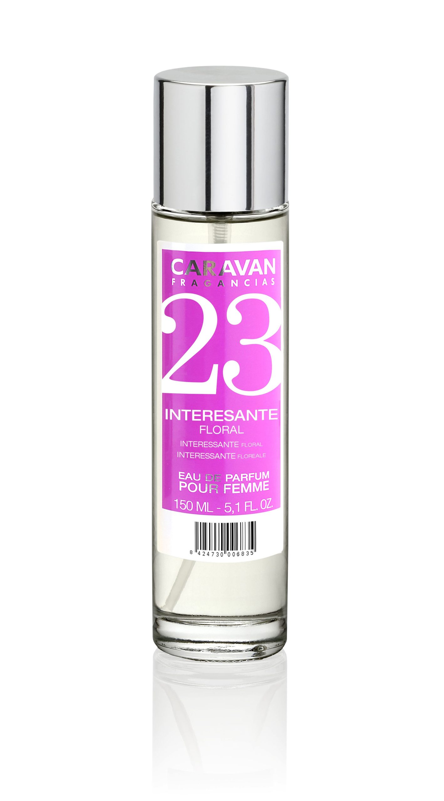 caravan-n-23.jpg