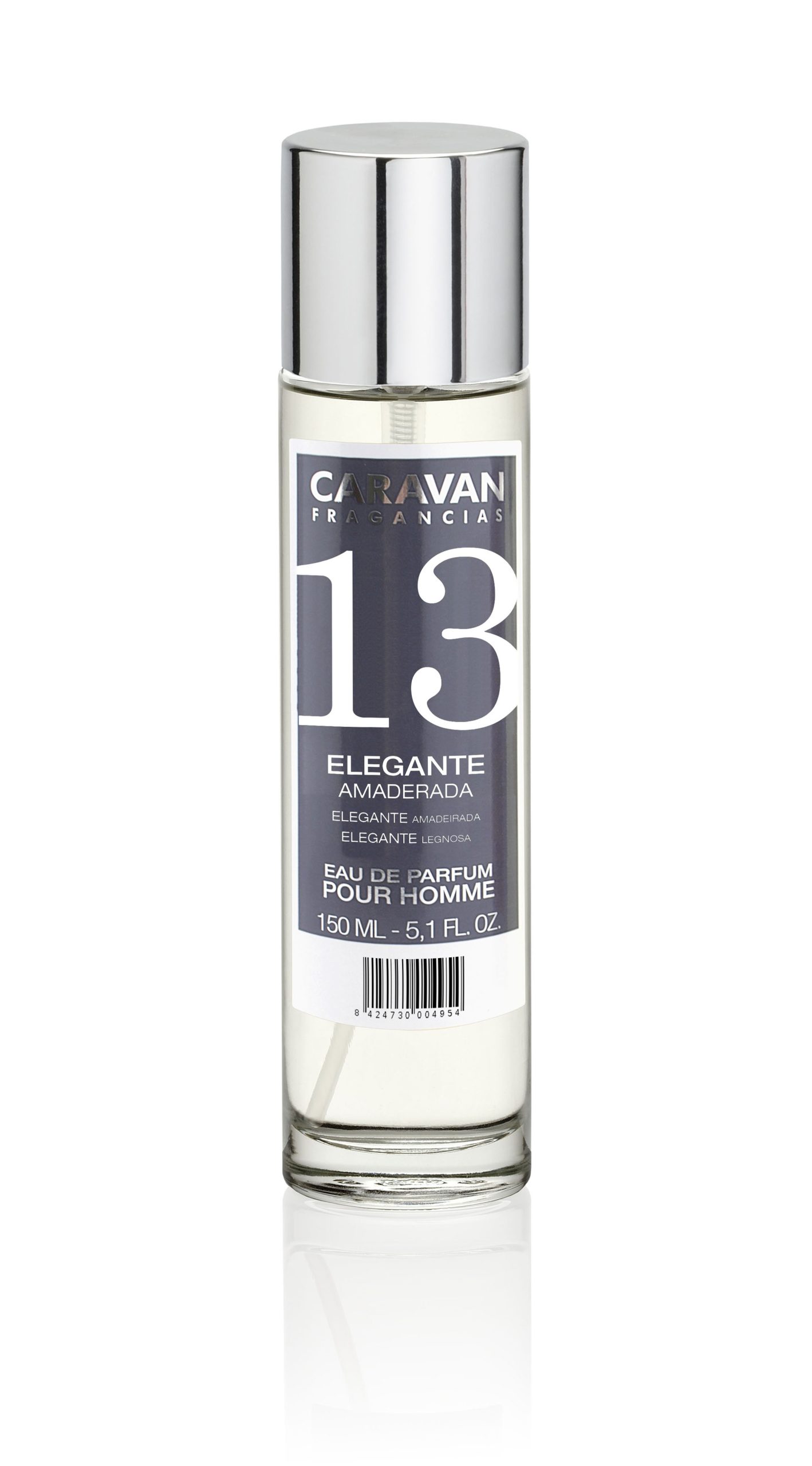 caravan-n13.jpg