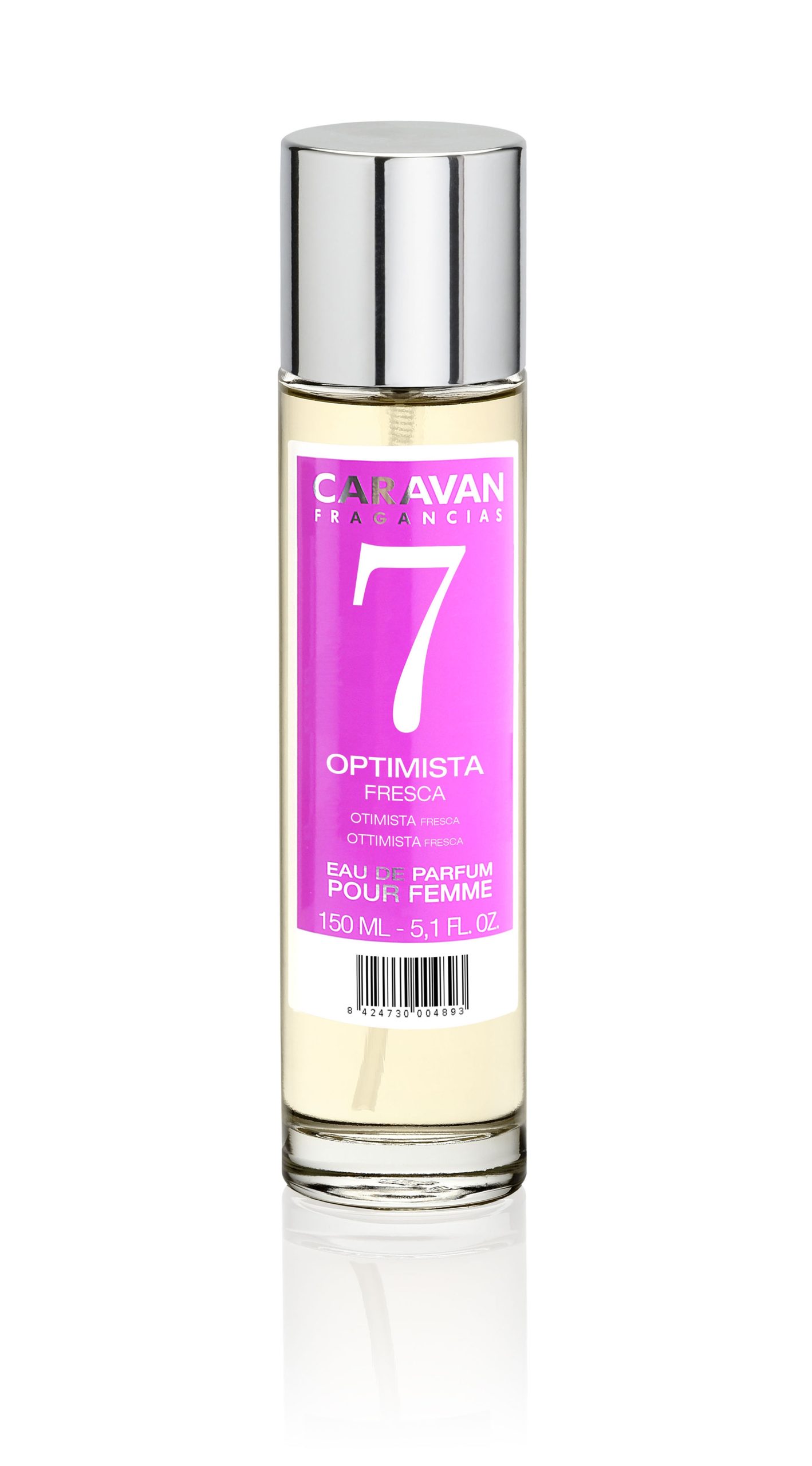 caravan-n7.jpg